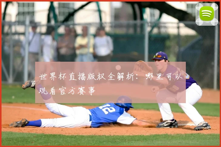 世界杯直播版权全解析：哪里可以观看官方赛事