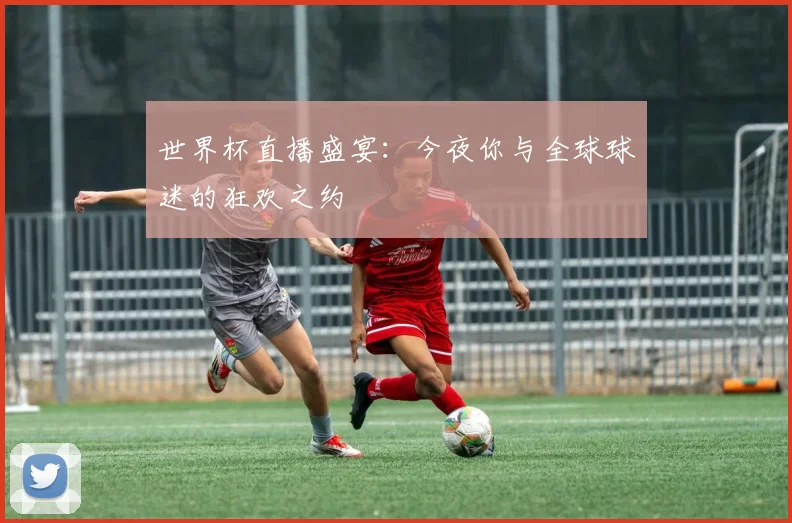 世界杯直播盛宴：今夜你与全球球迷的狂欢之约