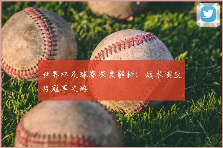 世界杯足球赛深度解析：战术演变与冠军之路
