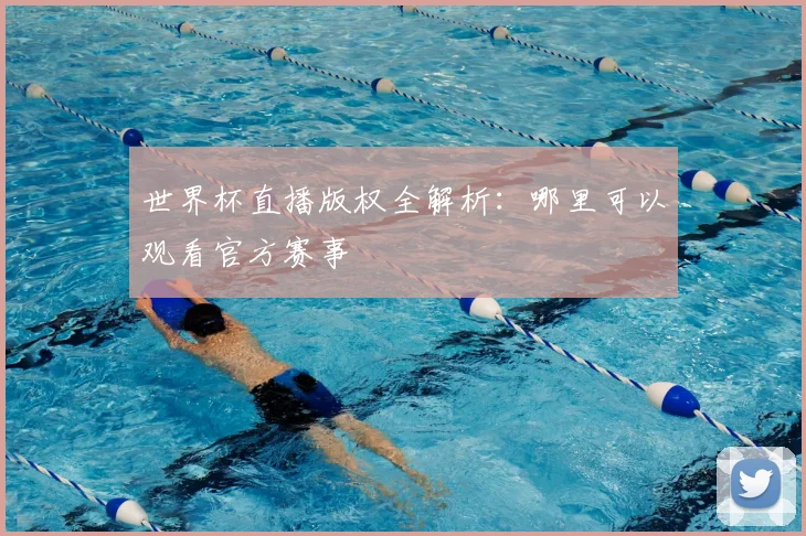 世界杯直播版权全解析：哪里可以观看官方赛事