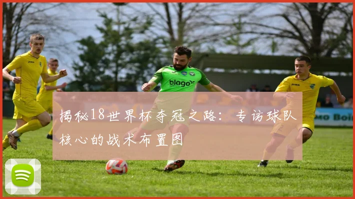 揭秘18世界杯夺冠之路：专访球队核心的战术布置图